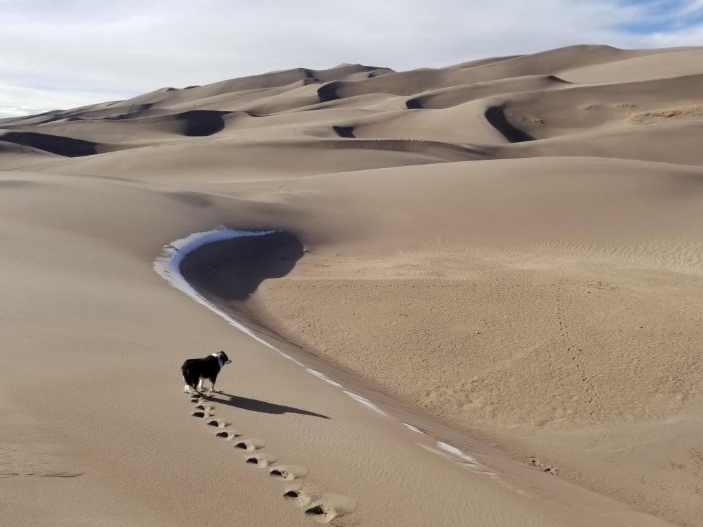 Colorado's Great Sand Dunes National Park
