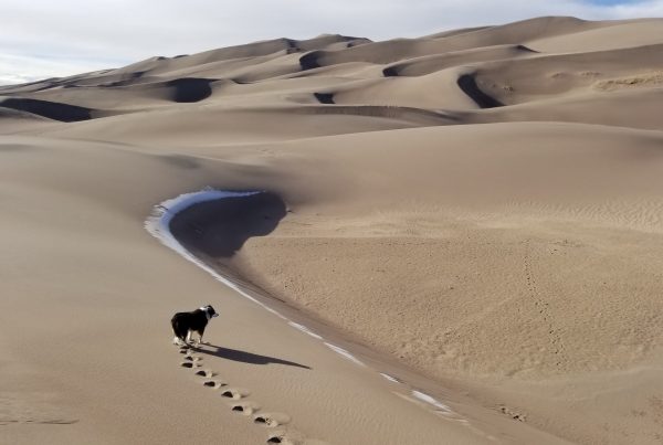 Colorado's Great Sand Dunes National Park