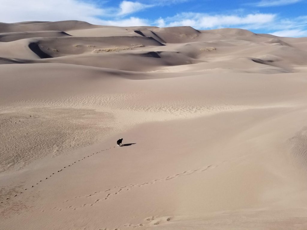 great sand dunes