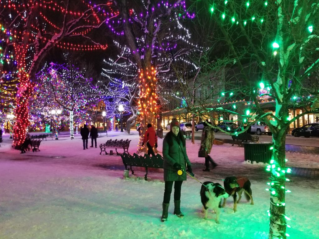 Santa Fe New Mexico with Snow!