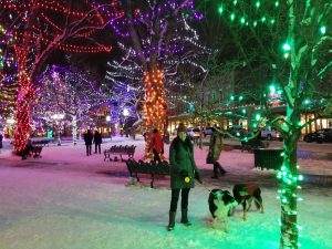 Santa Fe New Mexico with Snow!
