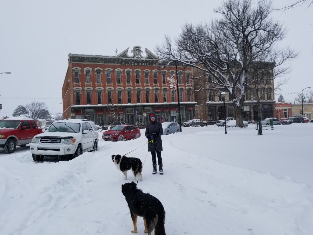 plaza hotel las vegas new mexico