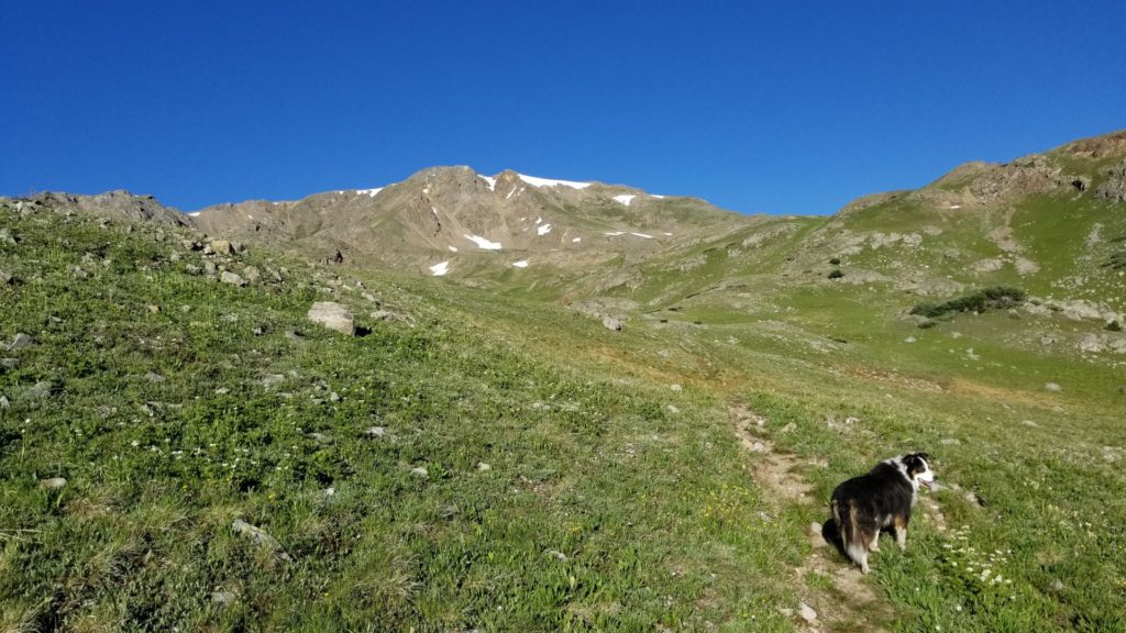 Petroleum Peak near Aspen. 