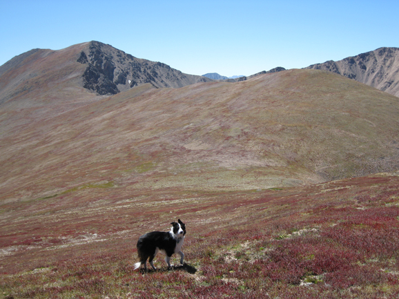 Traverse Engelman Robeson