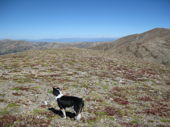 Mount Robeson