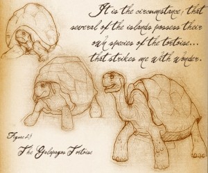Charles Darwin sketching
